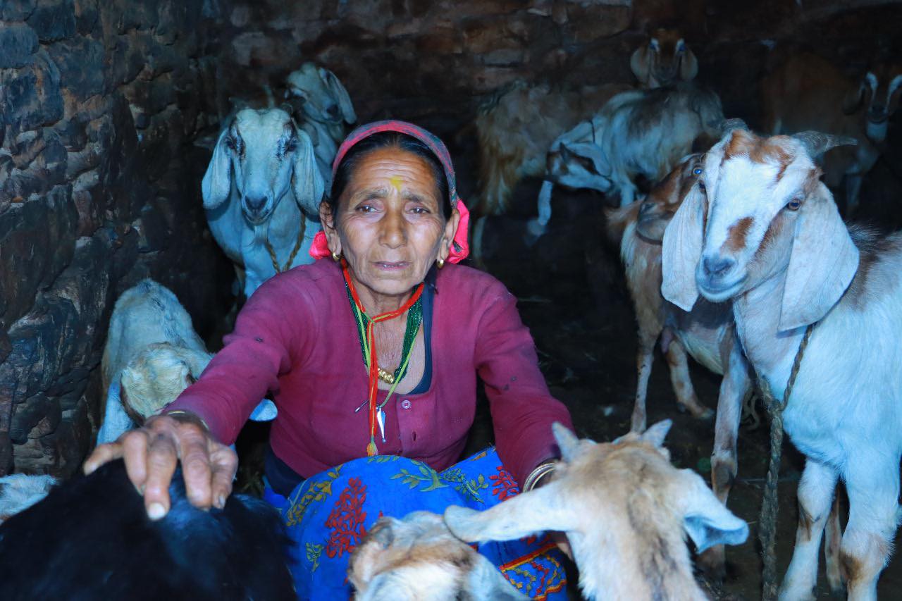 उदाहरणीय सरस्वती