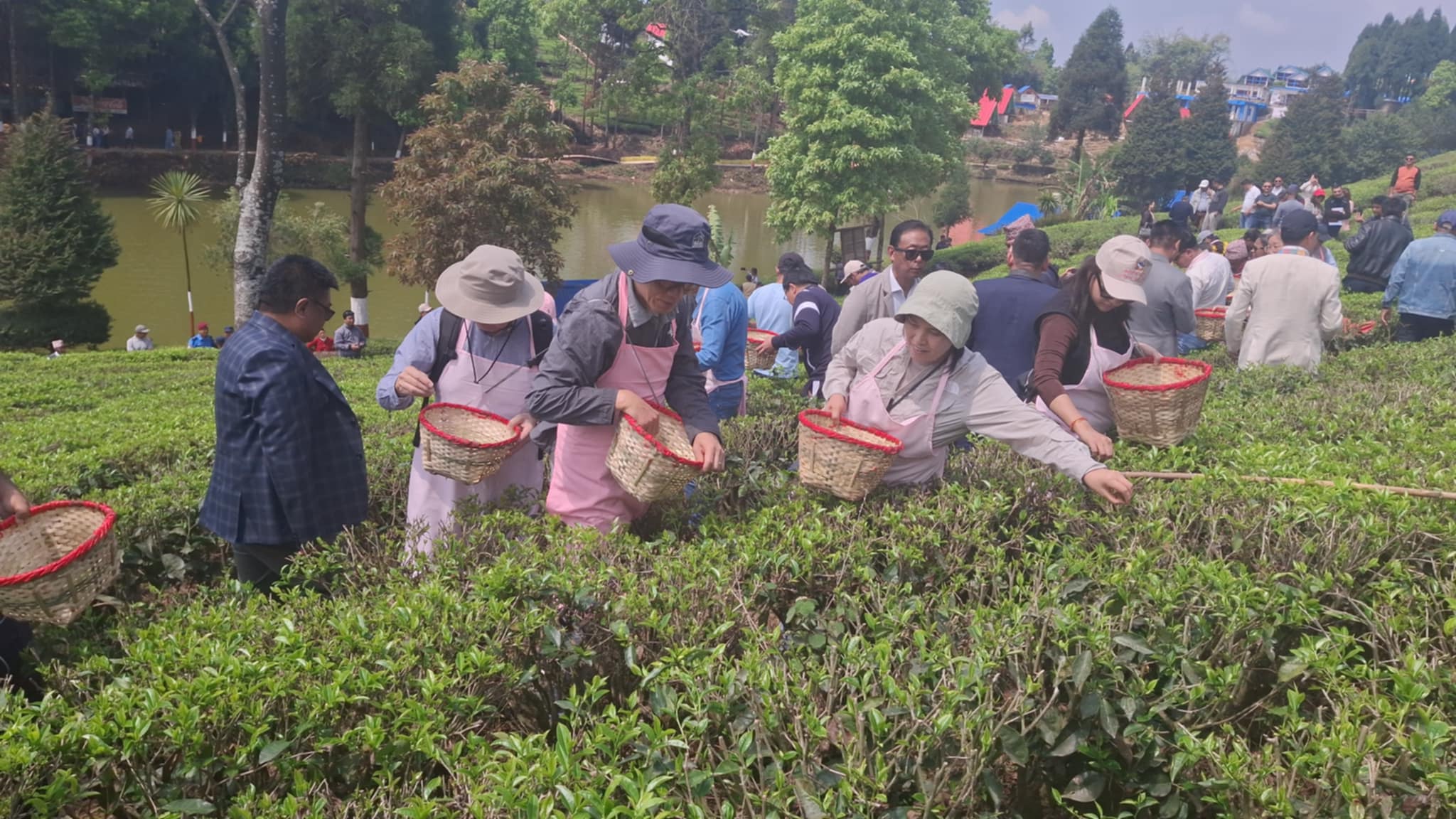 चिया टिप्दै कूटनीतिज्ञहरू