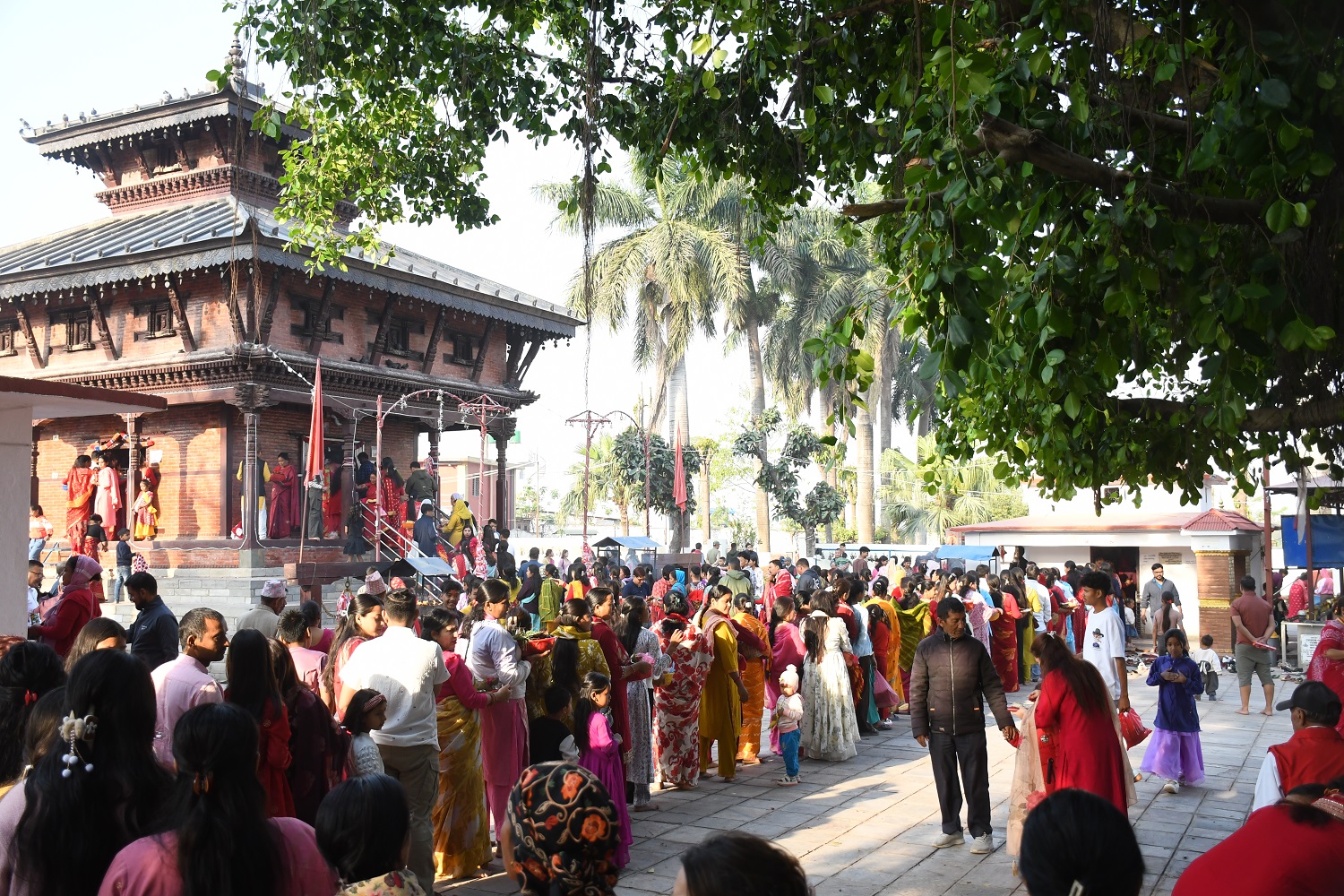चैते दशैं : देशभरका शक्तिपीठमा भक्तजनको बिहानैदेखि भीड
