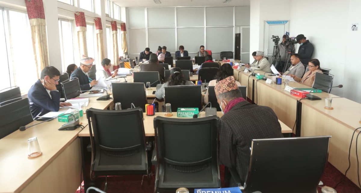 संसदीय समितिद्वारा चलचित्र विधेयकको मस्यौदा प्रतिवेदन पारित