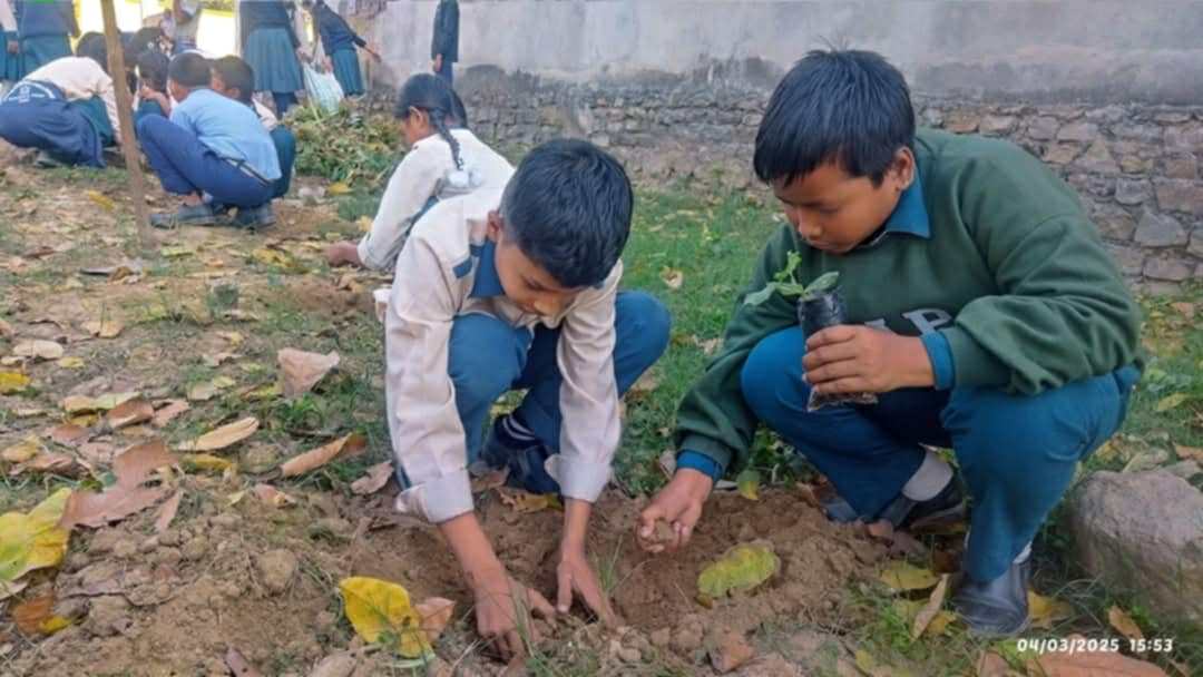 विद्यालयको करेसाबारी : दिवा खाजामा ताजा तरकारी