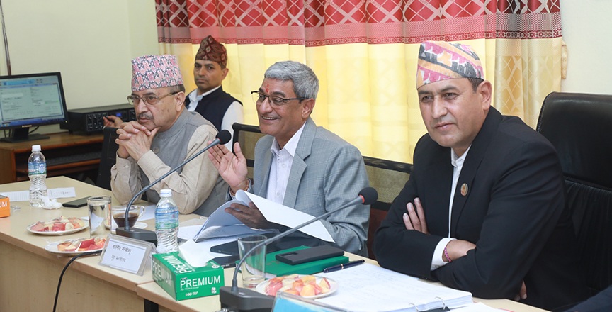 सरकारले गैरआवासीय नेपाली नागरिकतासम्बन्धी छुट्टै ऐन बनाउने