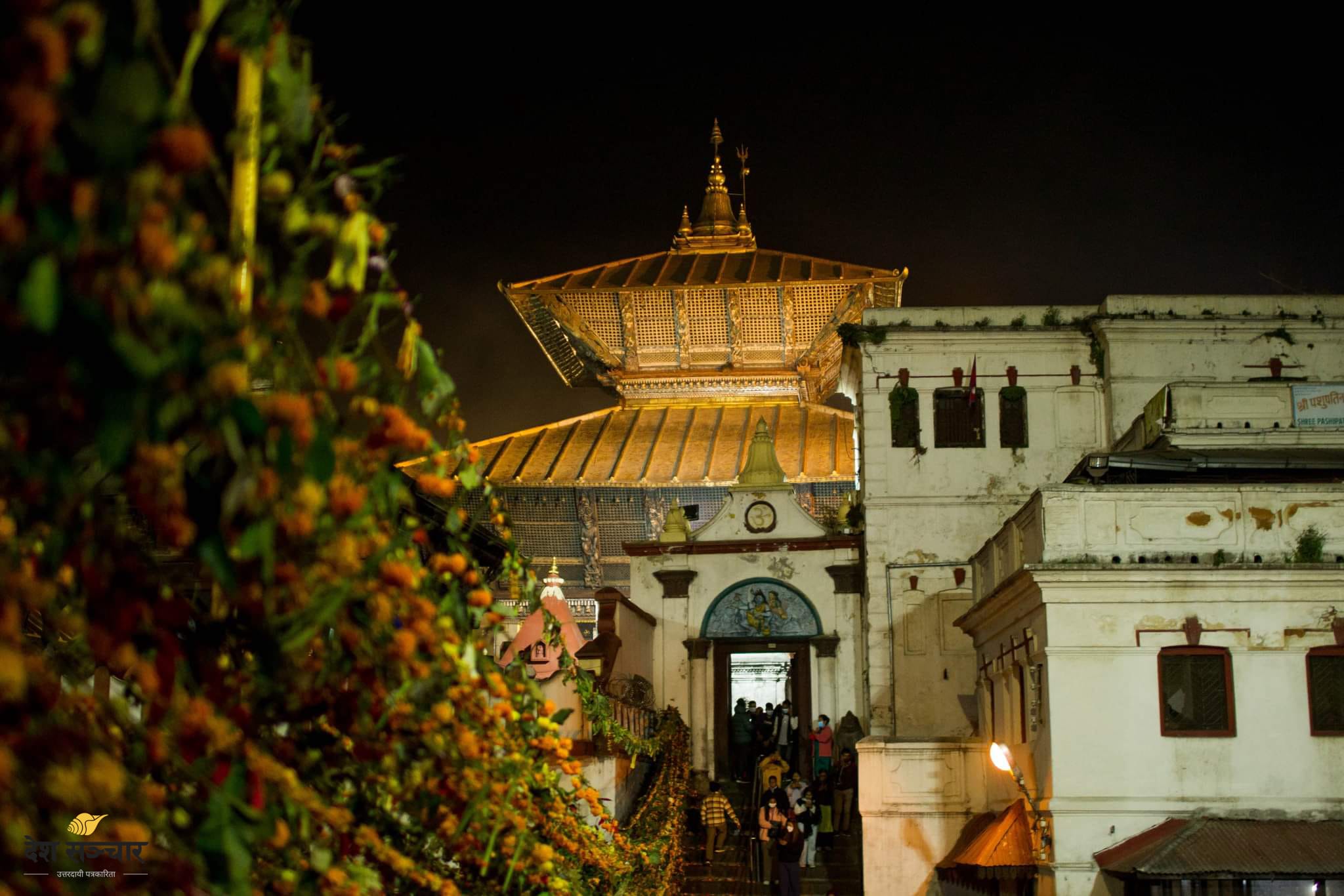 महाशिवरात्रि मूल समारोह समिति गठन