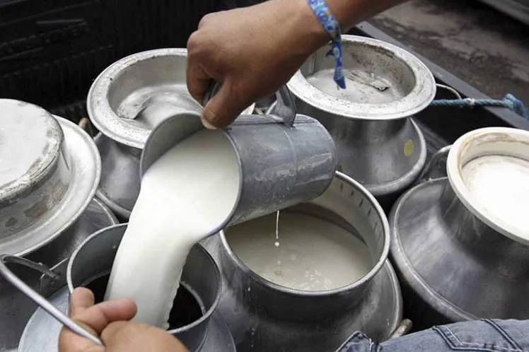 एक करोड १५ लाख लिटर दूध प्रशोधन