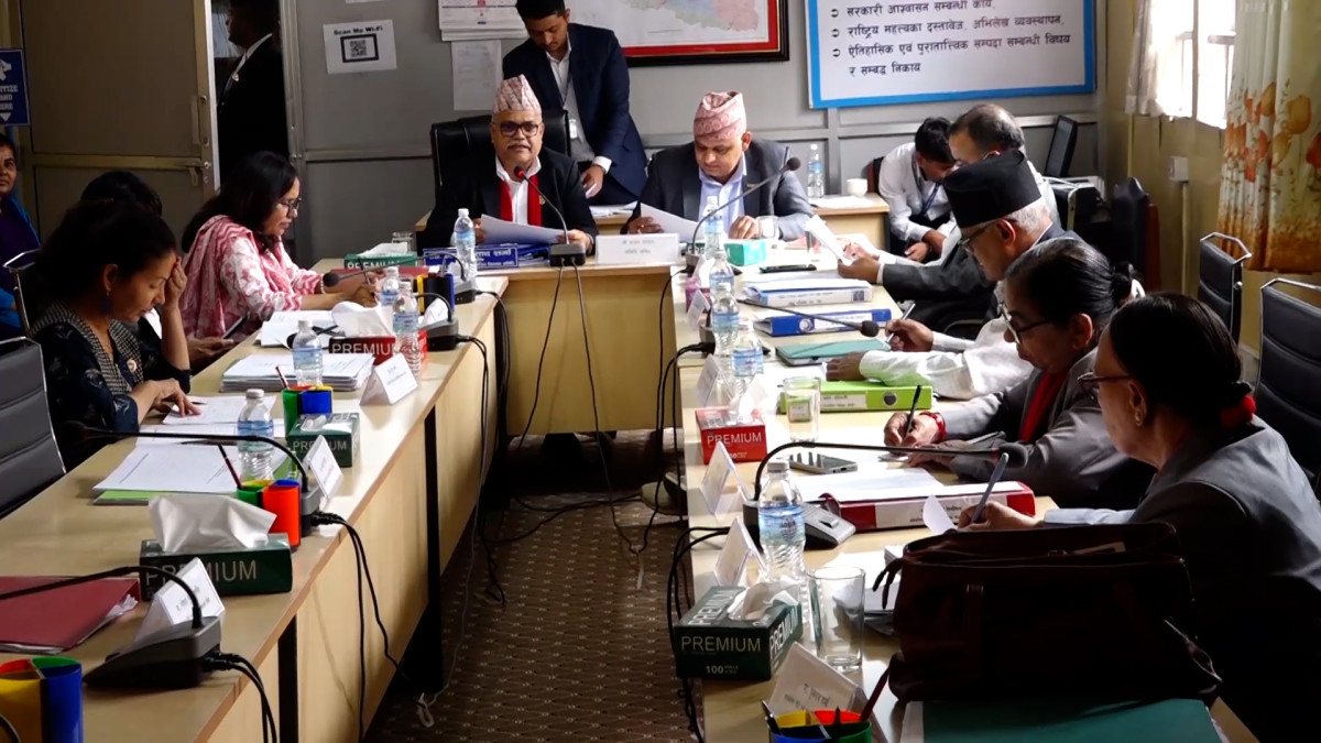 सार्वजनिक नीति तथा प्रत्यायोजित विधायन समितिले बिहीबार पुरातत्व विभागको भ्रमण गर्ने
