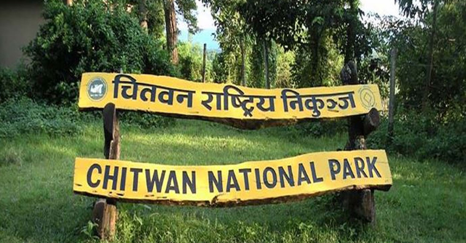 निकुञ्ज घुम्ने पर्यटकको संख्यामा कमी