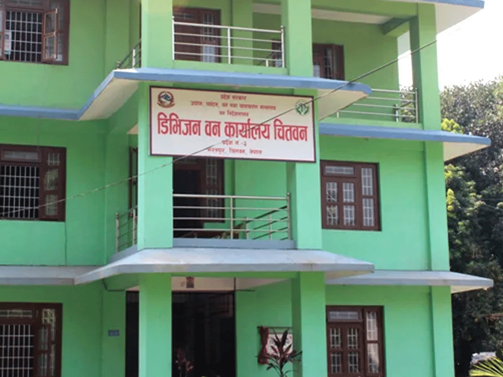 वन कार्यालयले सडक किनारका जोखिमयुक्त रुख हटाउँदै
