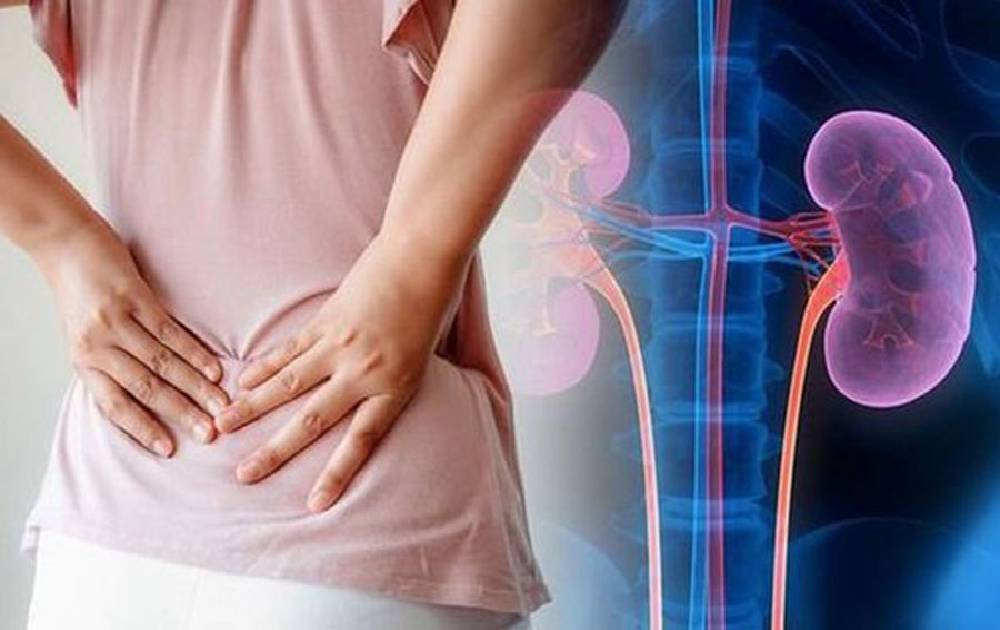 खाडी र मलेसियाको रोजगारीमा देखिएको स्वास्थ्य समस्या : धेरै कामदारमा देखियो मिर्गौलासम्बन्धी रोग