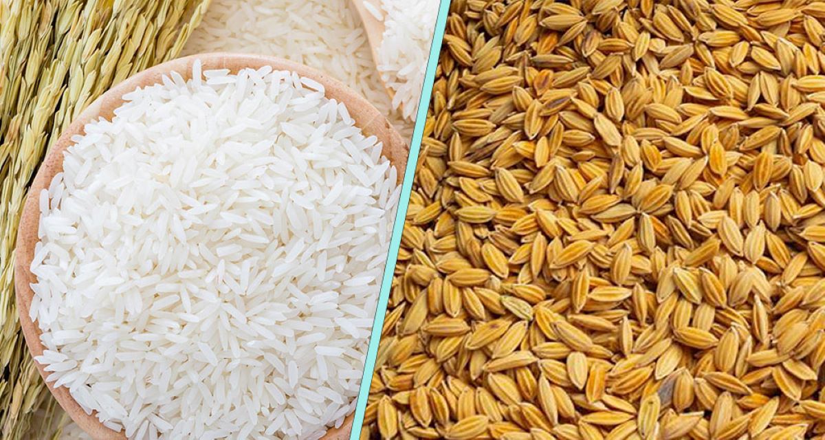 धान र चामलको आयात घट्दै