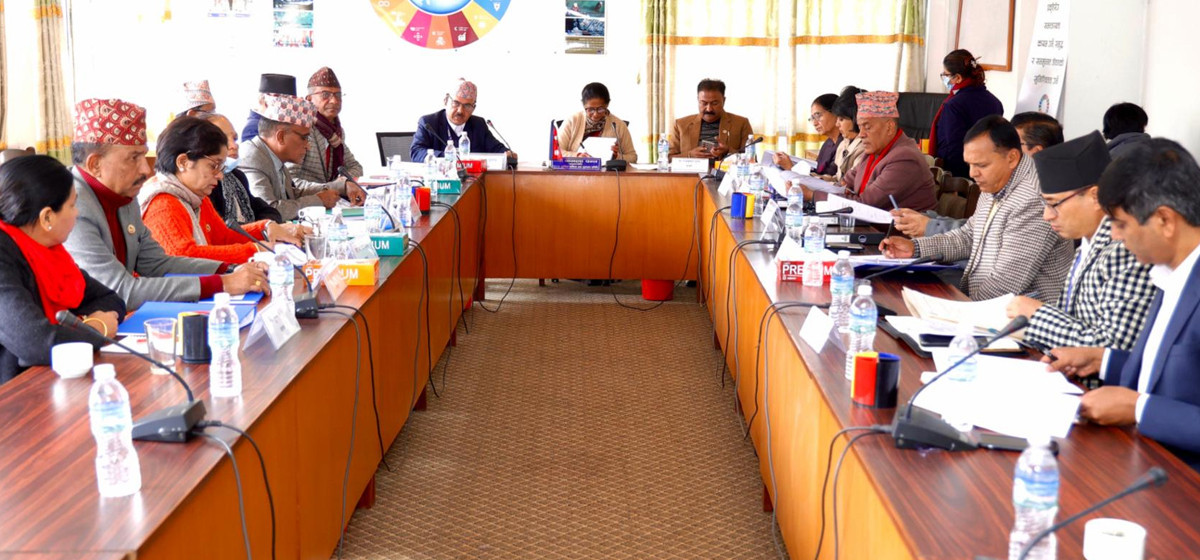 दलित समुदायको अधिकार तथा विकास सम्बन्धी विधेयक संसदमा पेश गर्न निर्देशन