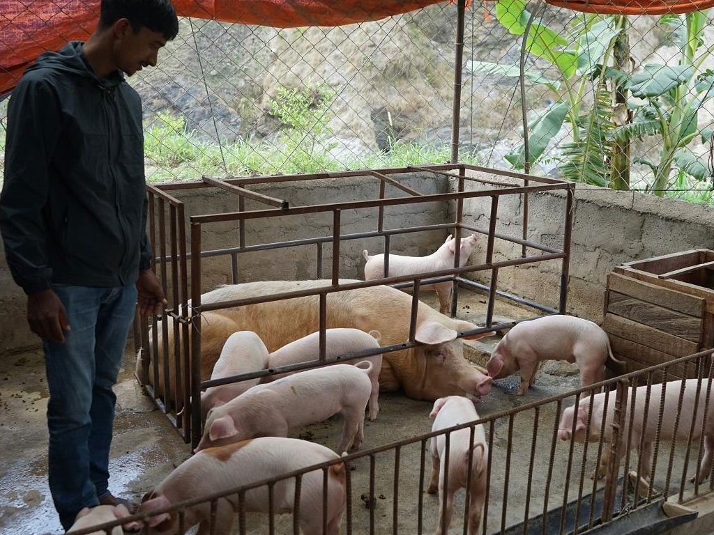 बंगुर पालेर स्वरोजगार र आत्मनिर्भर