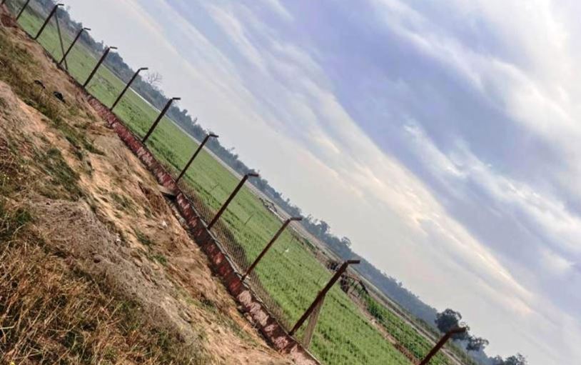 जंगली जनावरको आतंक रोक्न तारजाली जडान गरिँदै