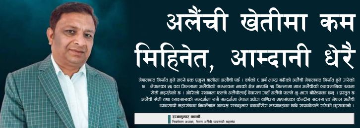 'अलैँची खेतीमा कम मिहिनेत, आम्दानी धेरै'