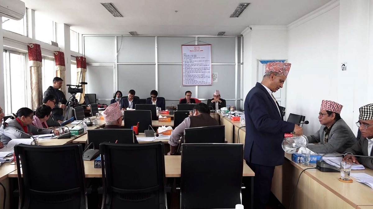 पानी जहाज कार्यालयबाट अनुमति नलिइ व्यावसायिकरूपमा पानी जहाज सञ्चालन गर्न नपाइने प्रस्ताव