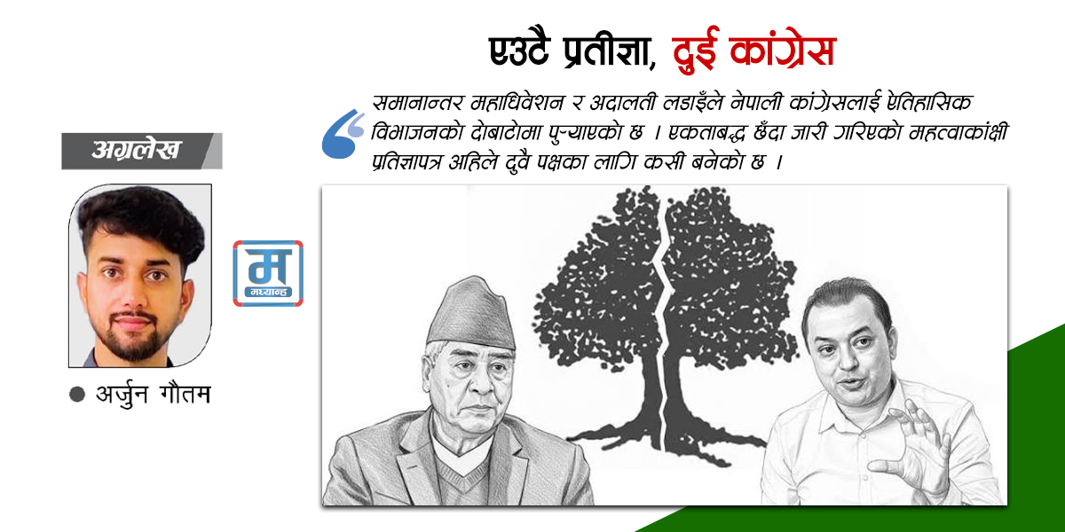एउटै प्रतिज्ञा, दुई कांग्रेस