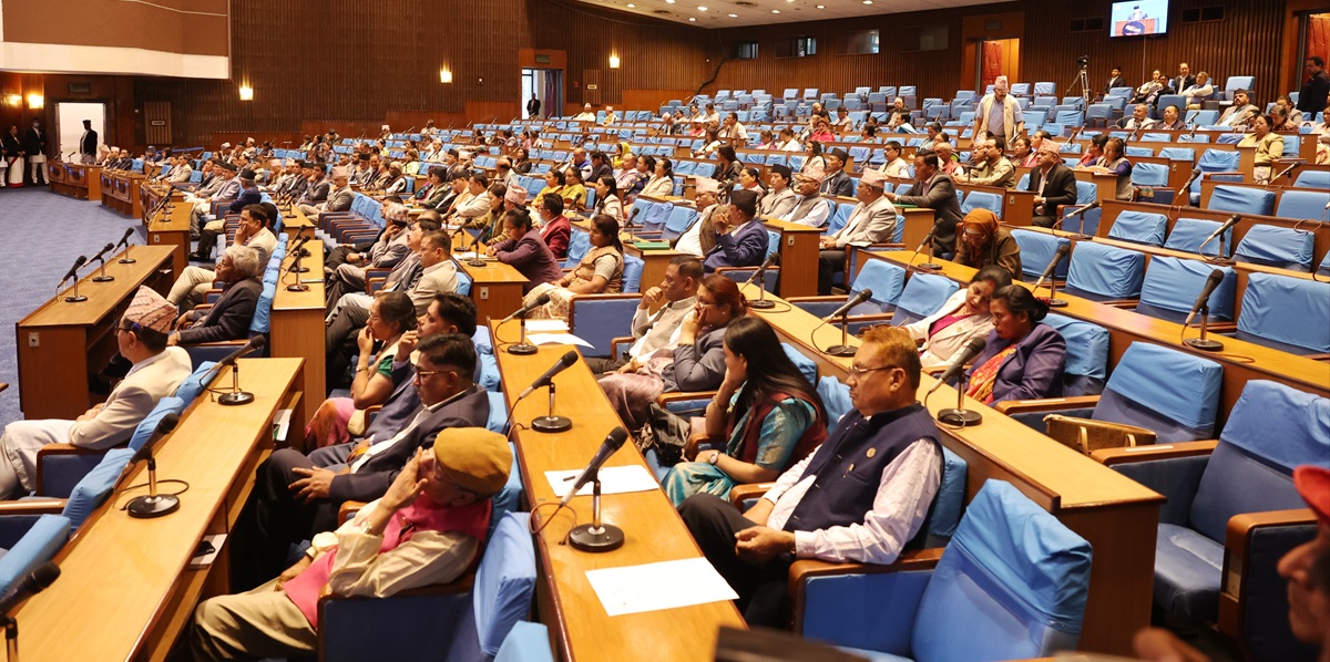 प्रतिनिधिसभामा प्रिबजेटमाथि १८ घण्टा छलफल हुने