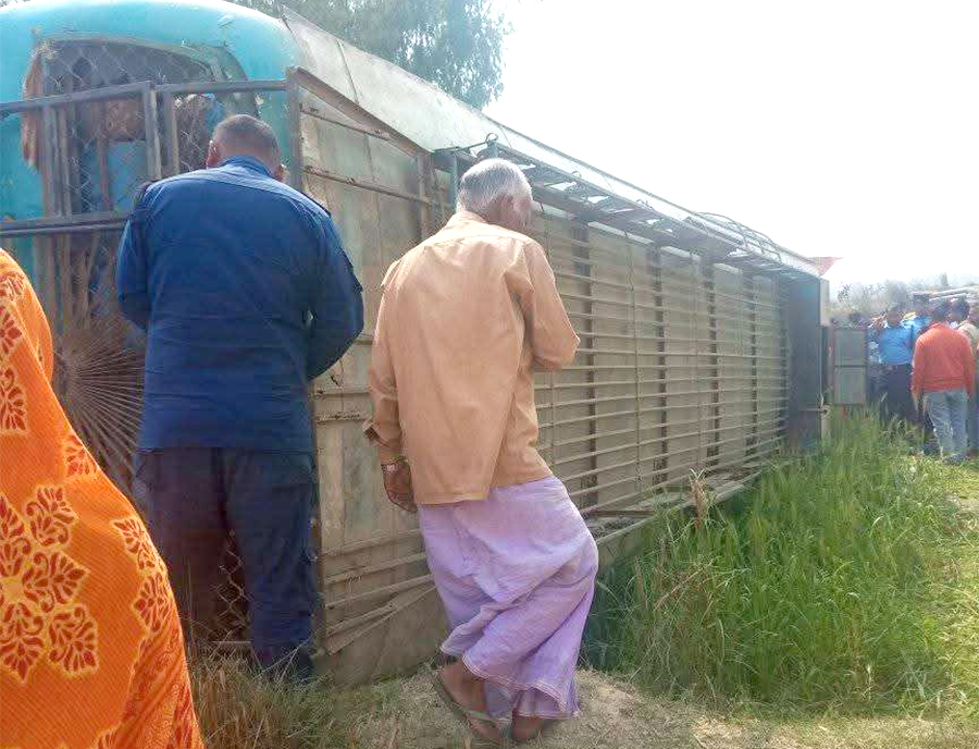 महोत्तरीमा बस दुर्घटना : १५ जना घाइते