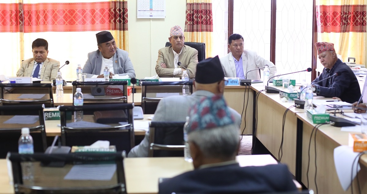 संघीय निजामती विधेयक : अतिरिक्त सचिव र ‘कुलिङ पिरियड’को अवधिमा सहमति जुटाउन सकस