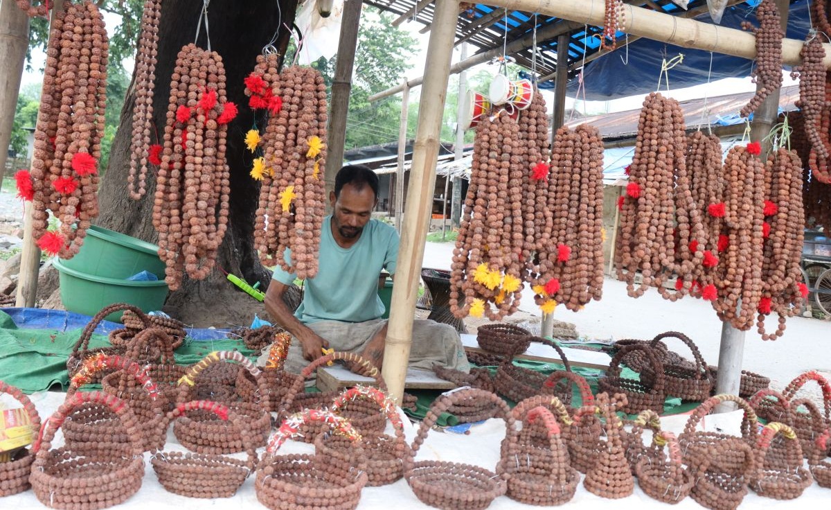 रुद्राक्ष व्यवसायबाट राम्रो आम्दानी