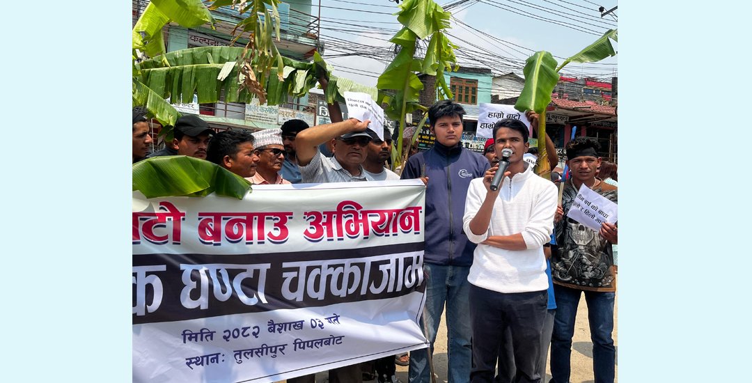 टेण्डर भएको तीन वर्षमा पनि निर्माण नभएपछि सडकमै रोपियो केराका बोट