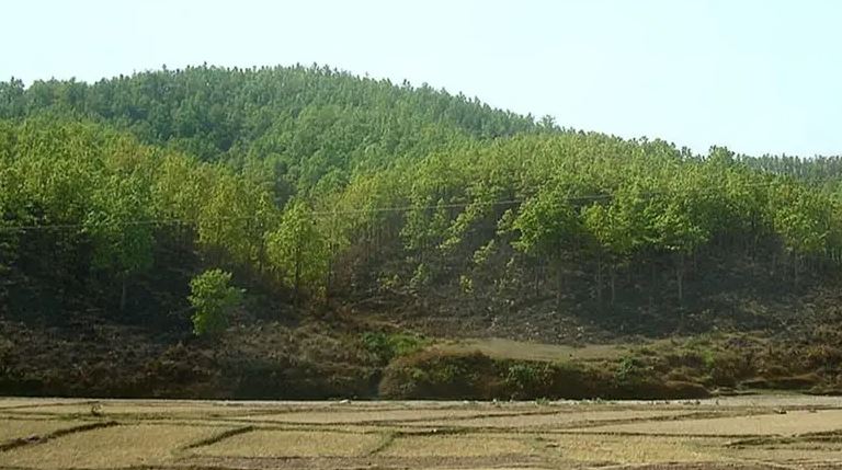 मधेशको समृद्धि : चुरे संरक्षणमा सबैको चासो
