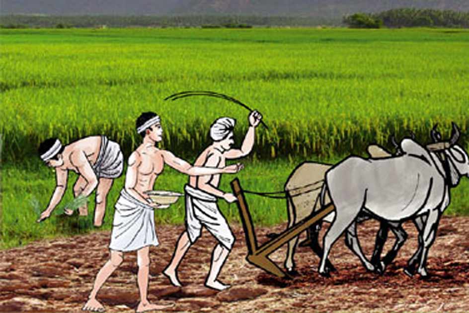 काभ्रेका पाँच तहमा ‘एक वडा–एक कृषि उत्पादन’ कार्यक्रम