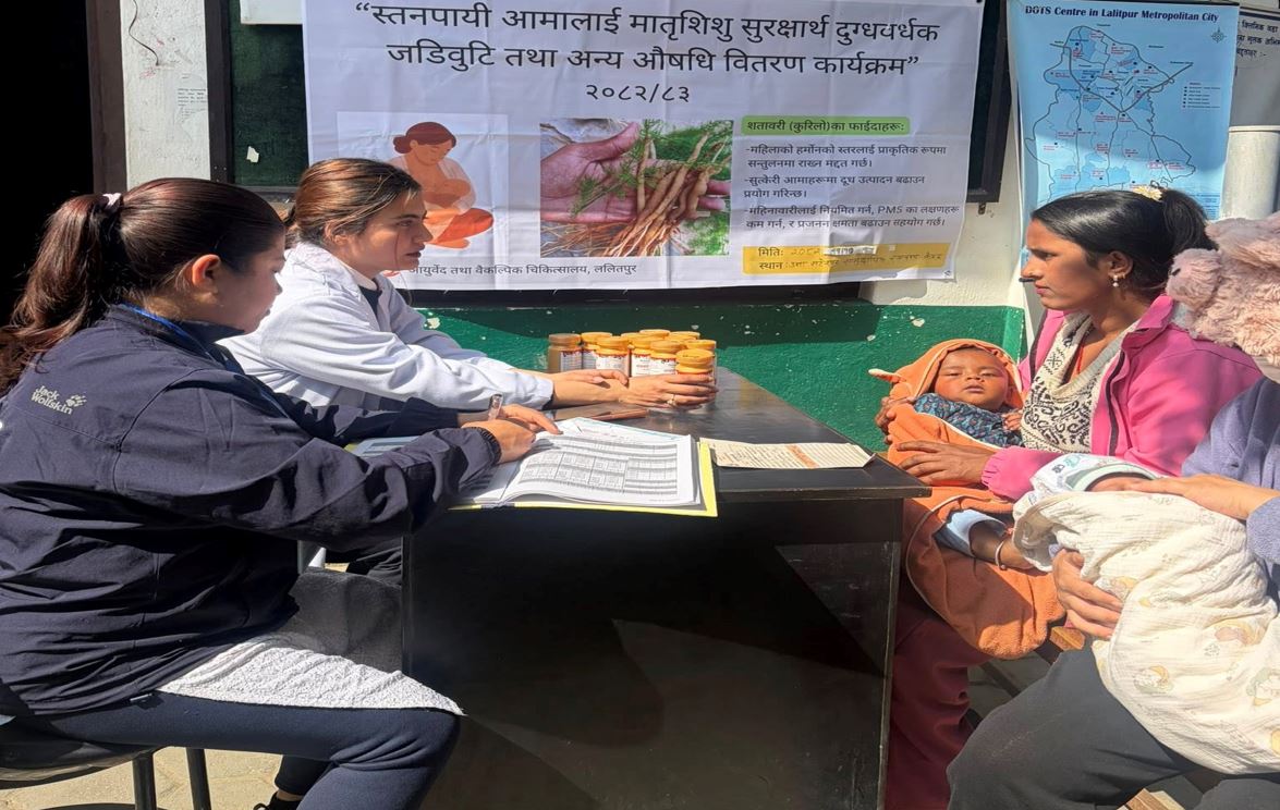 स्तनपायी आमाका लागि दुग्धवर्धक जडिबुटी वितरण कार्यक्रम सुरु