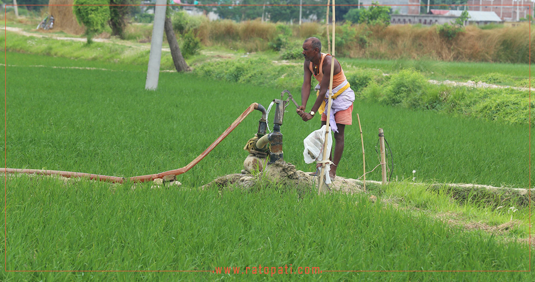 १५ लाख ९० हजार हेक्टरमा पुग्यो सिँचाइ सुविधा