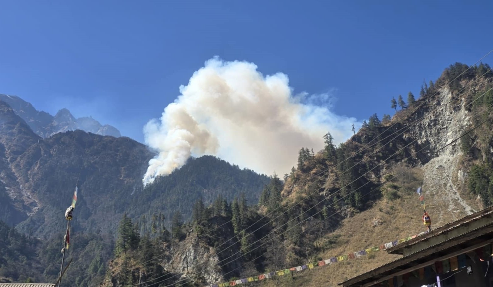 तिमाङको जंगलमा लागेको आगो अझै सकिएन निभाउन
