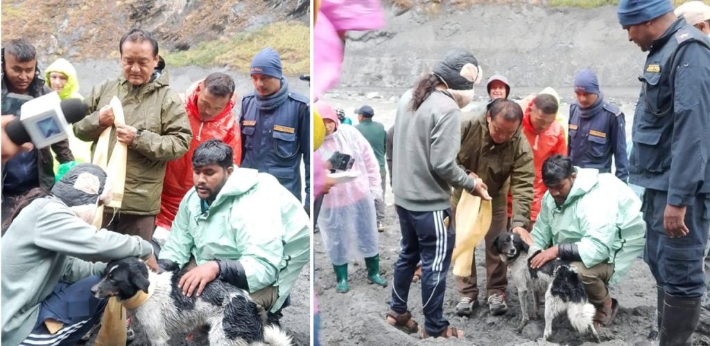 बुढीगण्डकी बगरमा फसेको कुकुरको उद्धार, २० दिनपछि घर फर्किइन् सेती