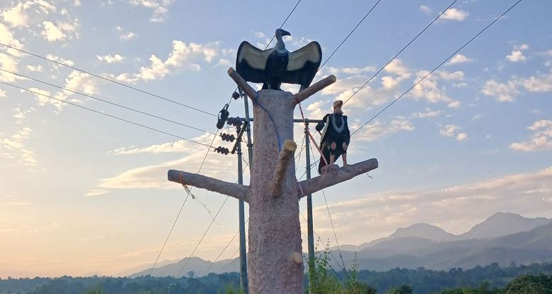 आहार व्यवस्थापनले गिद्धको संख्या बढ्दै