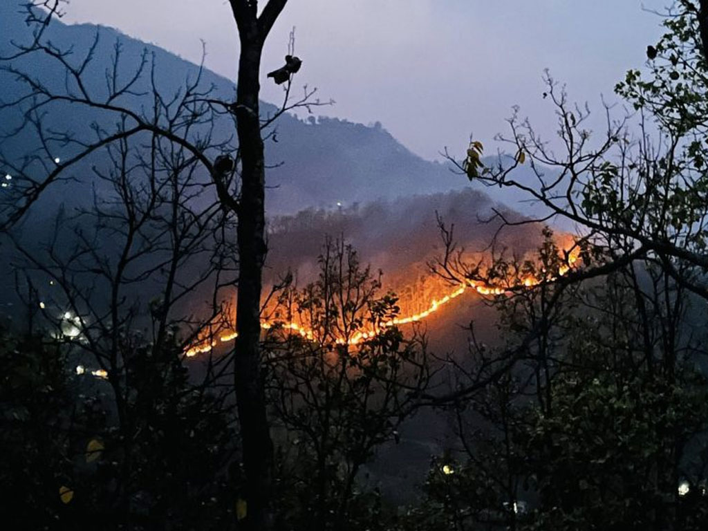 डढेलोबारे अझै छैनन् सचेत