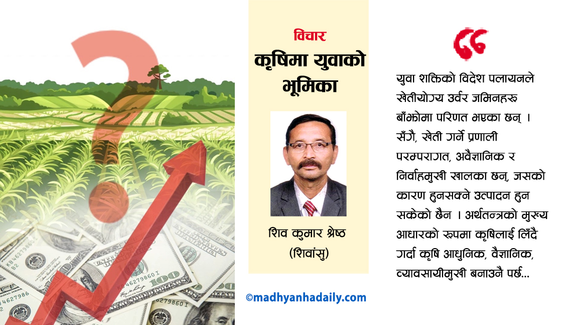 कृषिमा युवाको भूमिका