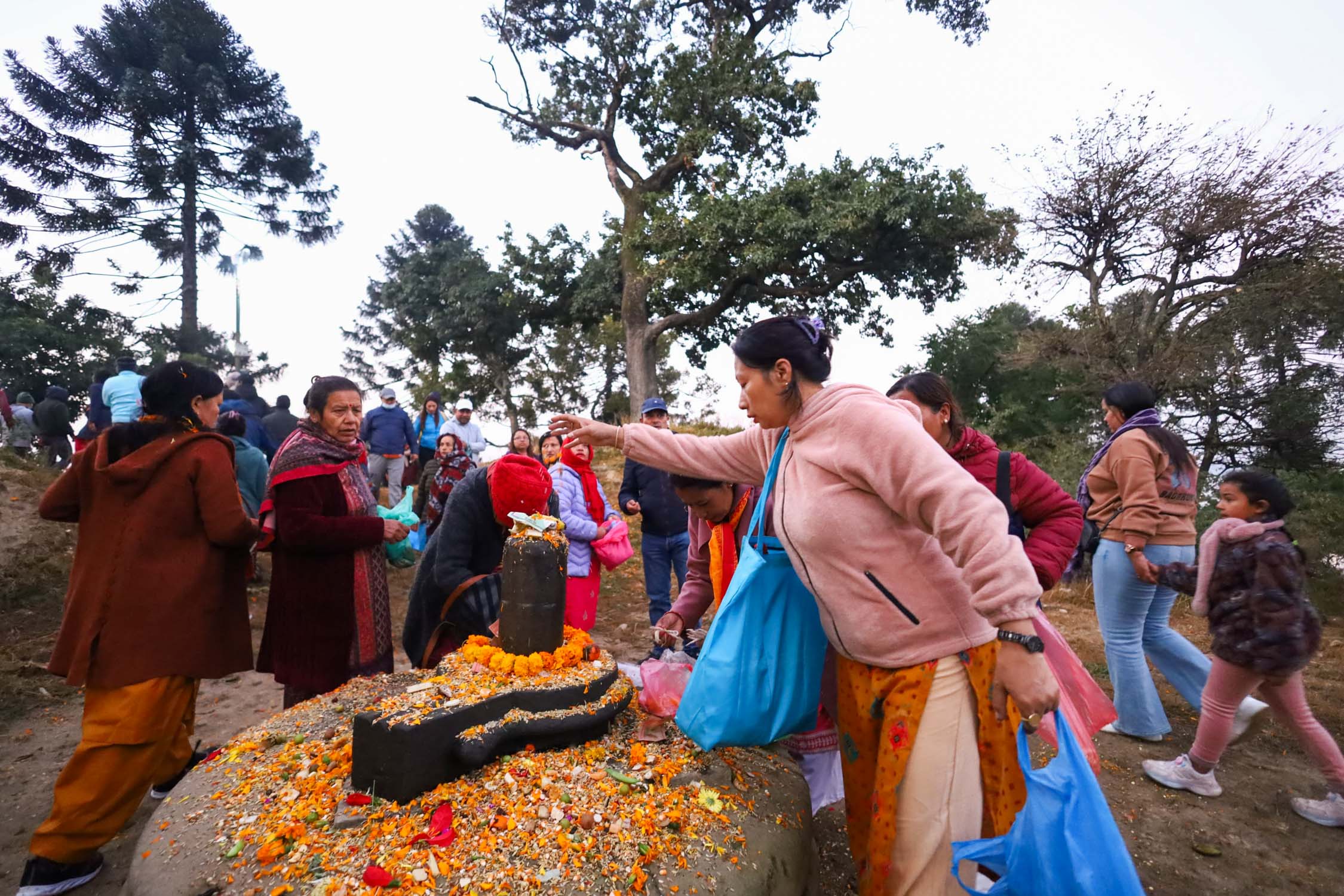 पशुपति क्षेत्रमा शतबीज छरियो