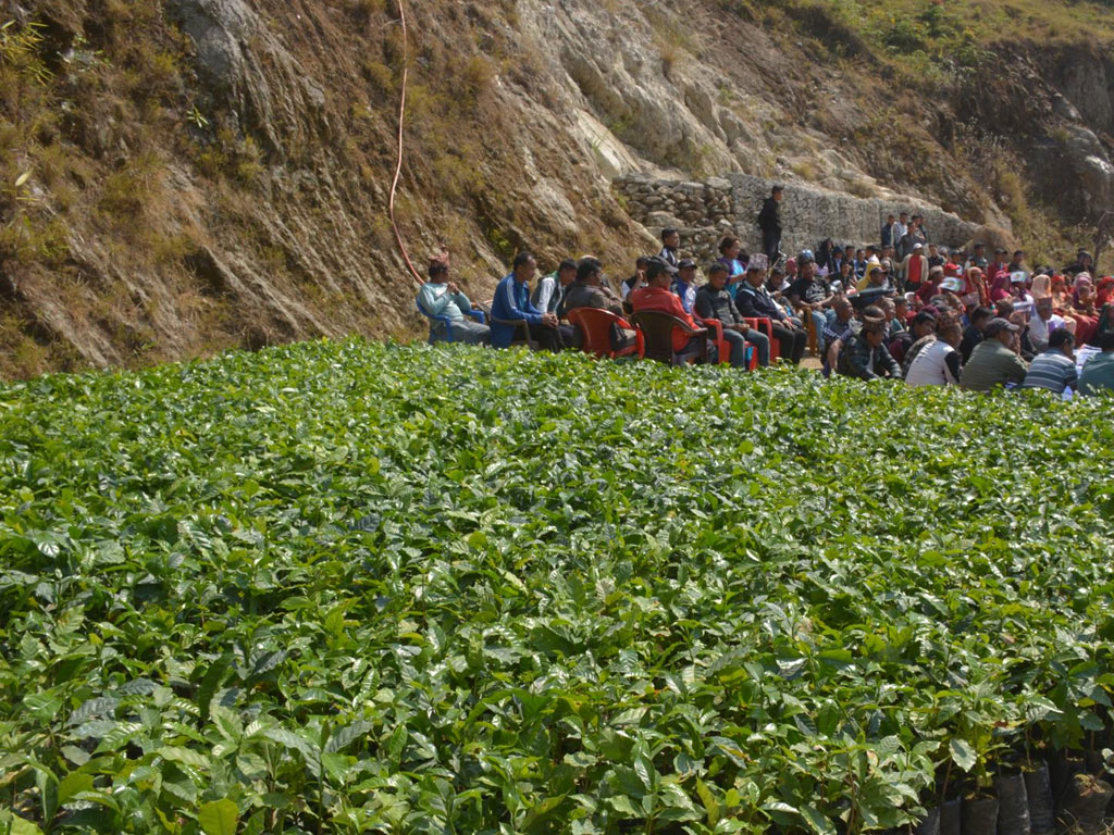काभ्रेका किसानलाई कफी उत्पादन प्रविधि तालिम