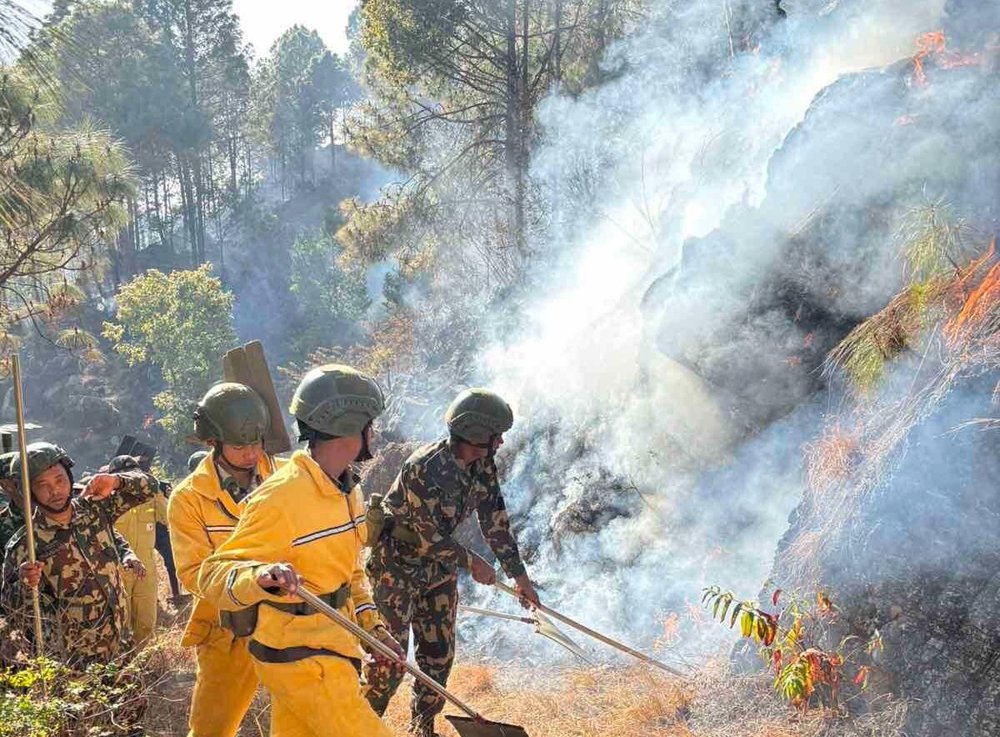डढेलोले सखाप हुँदै जंगल