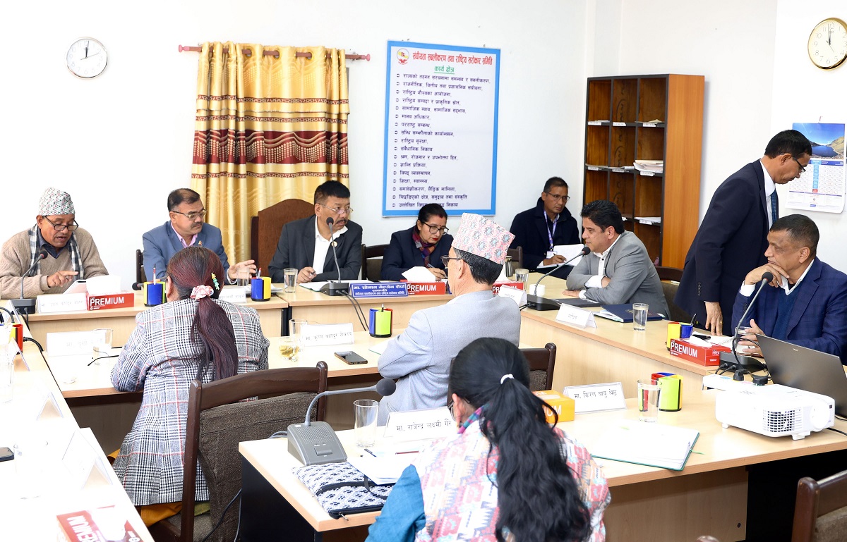 सिमेन्टको मूल्यवृद्धिलाई लिएर उद्योगमन्त्री र सांसदबीच सवाल–जवाफ